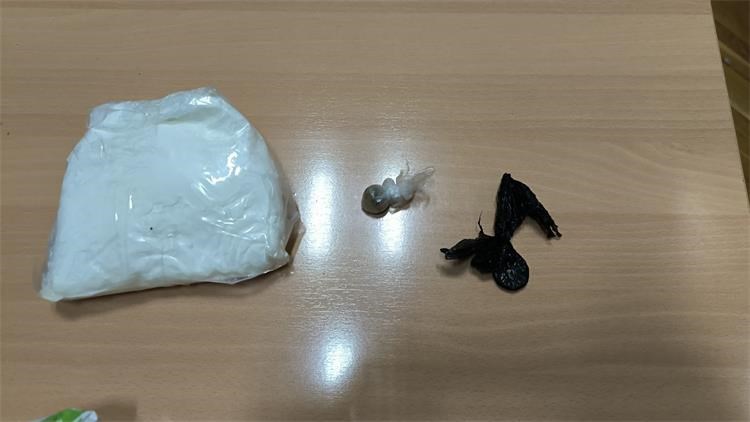 Slika /PU splitsko-dalmatinska 2025 NOVO/Droga/1000073395 (2).jpg